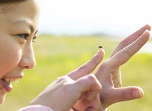 フコイダンの基礎から商品の選び方まで